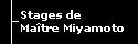 Stage de Maître Miyamoto